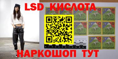 шишки Камышлов
