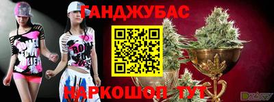 шишки Камышлов