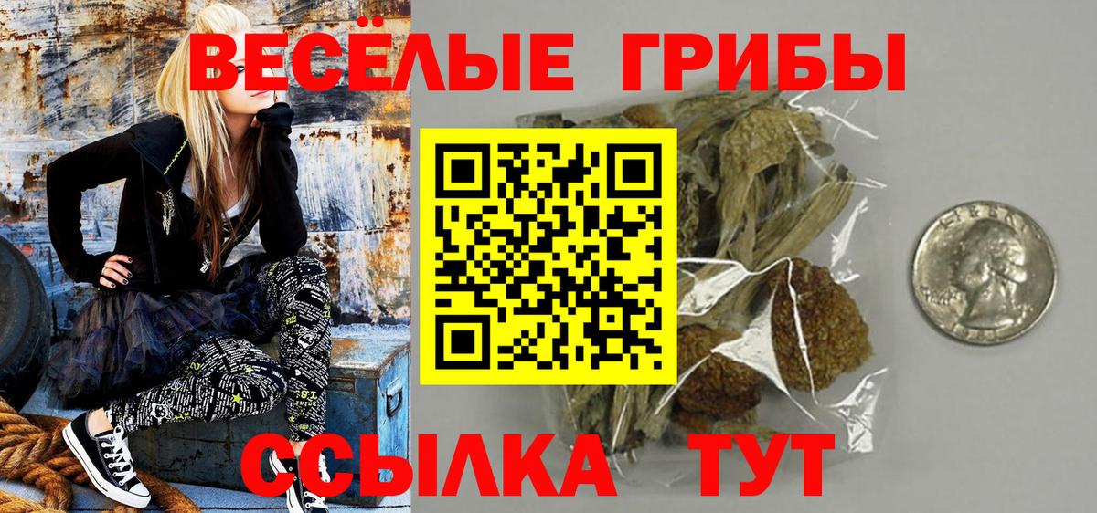Кызыл  Псилоцибиновые грибы Psilocybe  Вход с VPN  Псилоцибиновые грибы GOLDEN TEACHER 