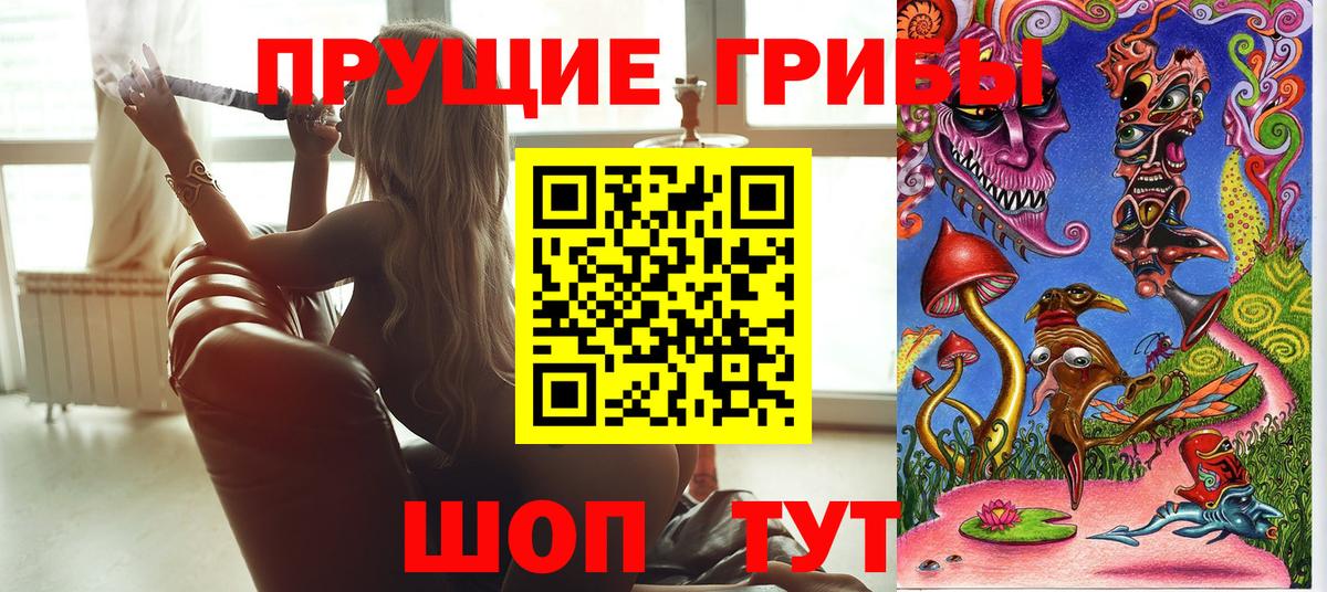 Псилоцибиновые грибы Psilocybe Кызыл